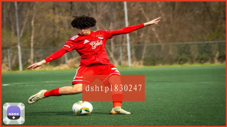 dshtpl830247