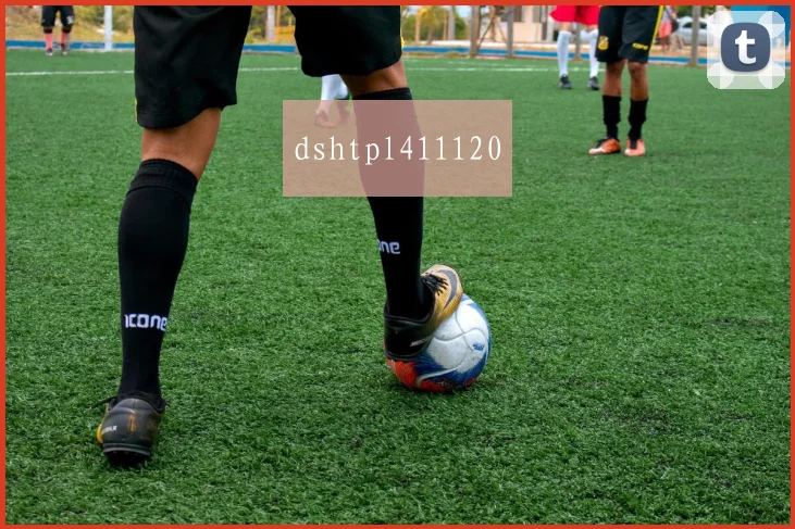 dshtpl411120